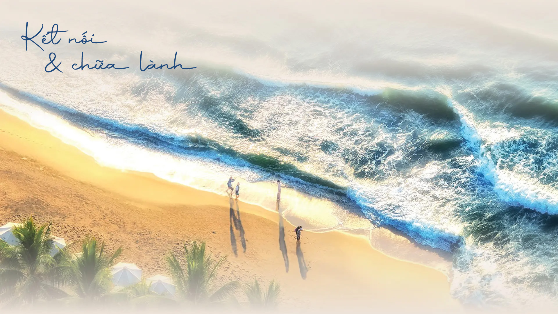 Paramount Signature - Kết nối chuỗi lạnh